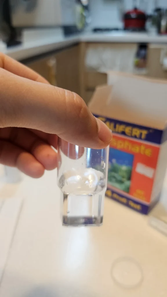 셀리퍼트 PO4 테스트를 위해 어항 물 10ml를 준비한 모습. 주사기를 통해 10ml 물을 채웠다.