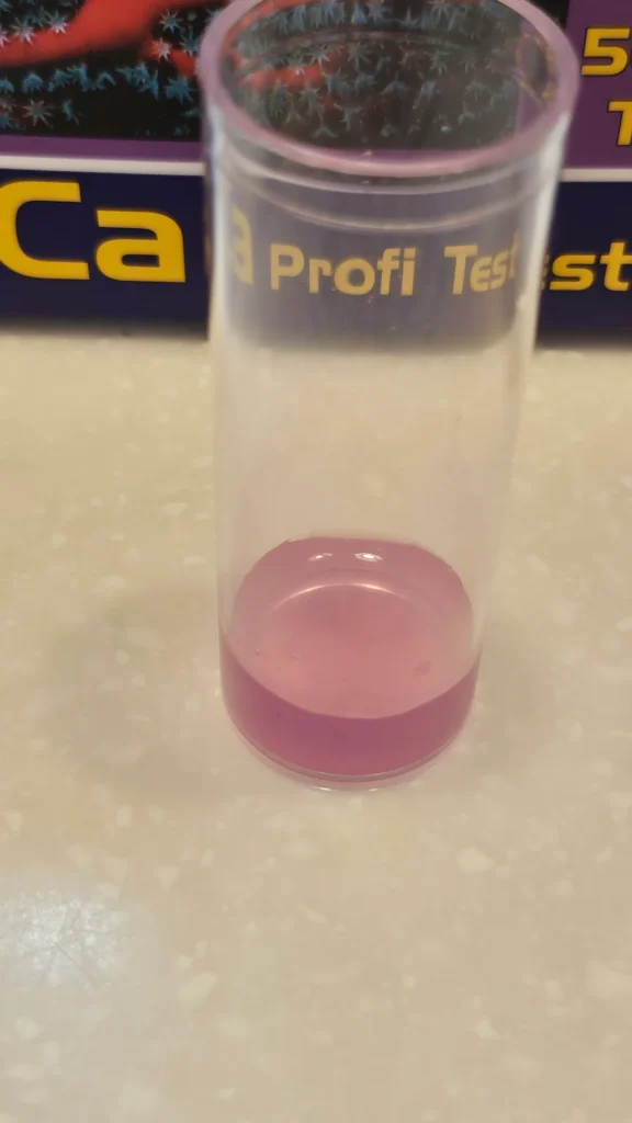 용액 0.6ml 를 넣어 색이 파란색에서 핑크색으로 바뀐 용액.