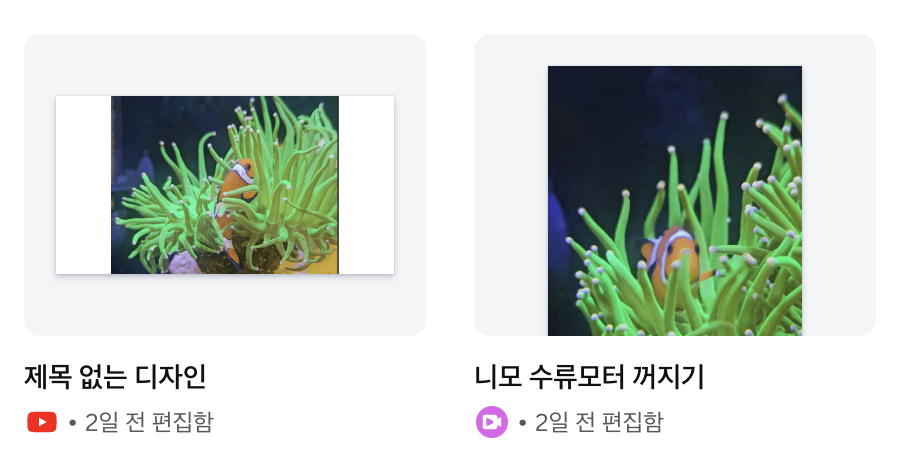 캔바에서 만든 영상, 유튜브 영상 썸네일