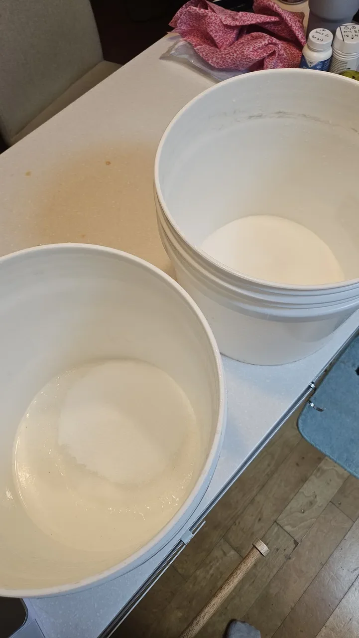 아쿠아포레스트 리프 솔트 해수염 후기