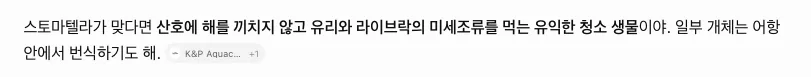 스토마텔라의 미세조류 섭식과 산호에 미치는 영향을 설명한 GPT 답변